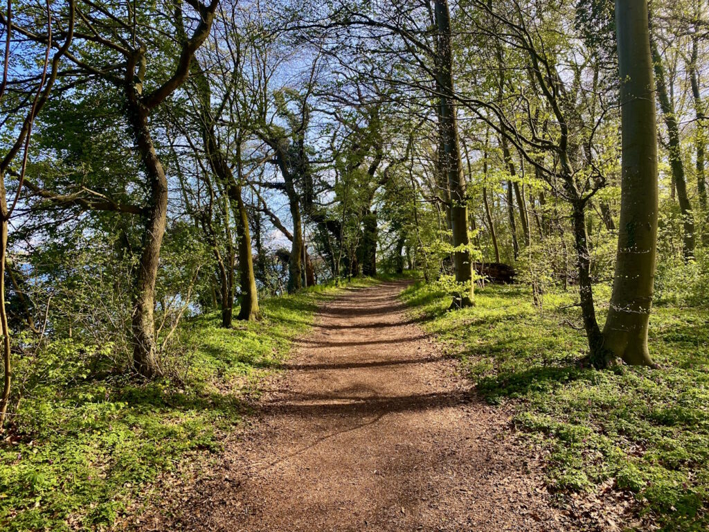 Skælskør Lystskov springer ud